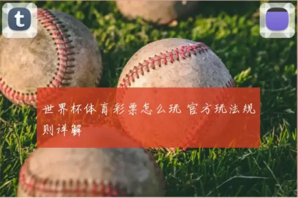 中国体育彩票官网世界杯投注规则详解